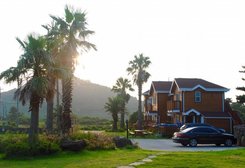 Sweetsalt Villa Seogwipo Bagian luar foto