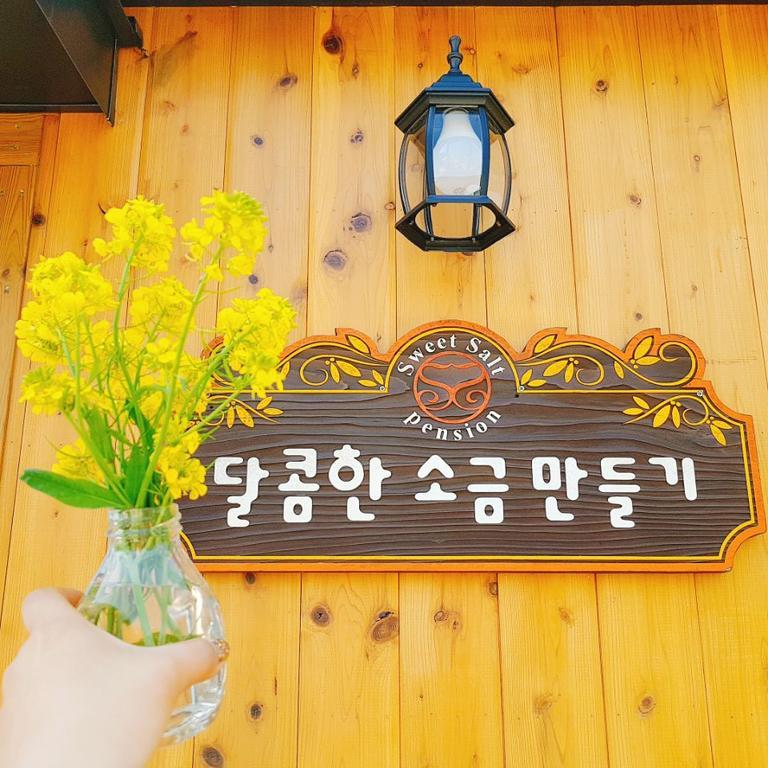 Sweetsalt Villa Seogwipo Bagian luar foto