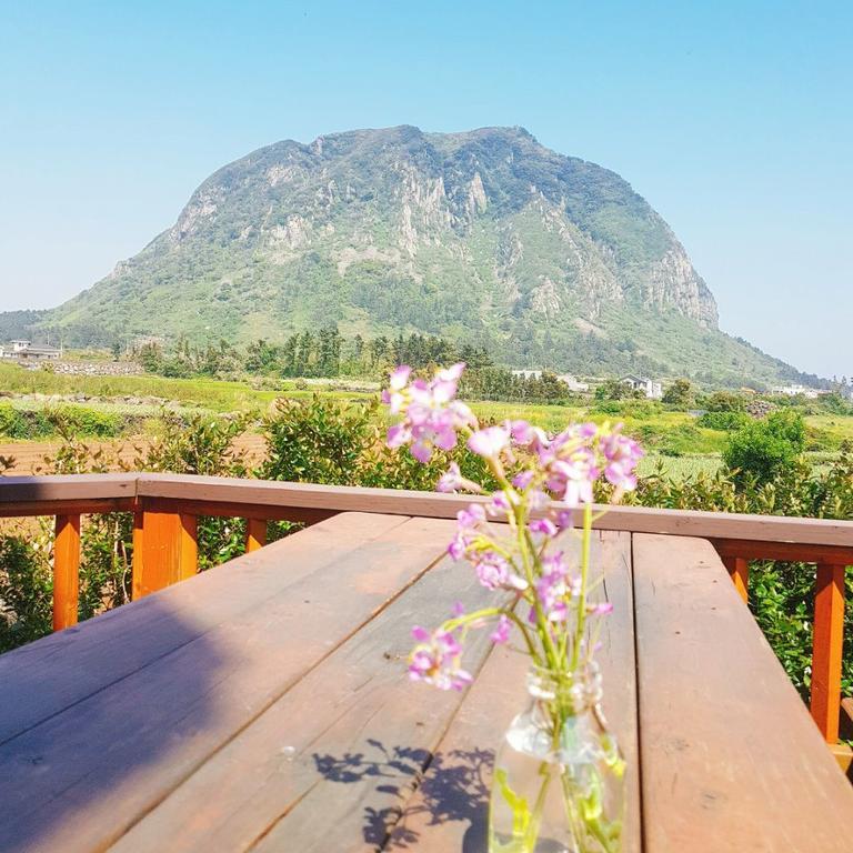 Sweetsalt Villa Seogwipo Bagian luar foto